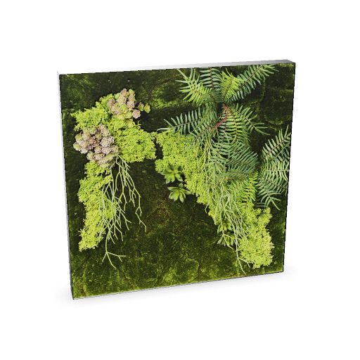 Cadre végétal artificiel 60x60
