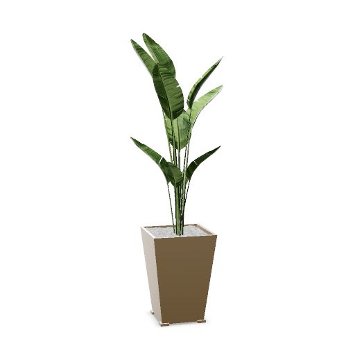 Bac métal KUB'O composition Streletzia