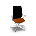 ACCIS PRO 150SFL P63TPU