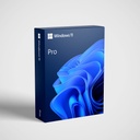 Microsoft Windows 11 Professional licentie