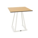 Linea Dinner 70 x 70 cm