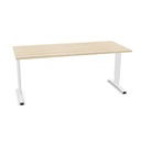 Entrada bureau 180x80cm hoogte instelbaar